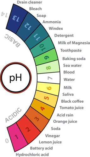 The pH Scale Teas 7, Hesi A2, Ph Scale, Chemistry Study Guide, Chemistry Basics, Physics Lessons, Learn Physics, Study Chemistry, Chemistry Classroom