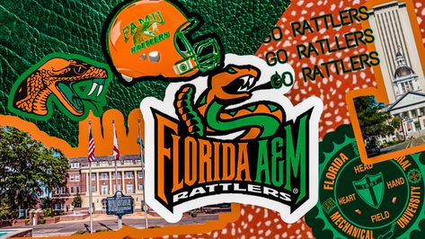 FAMU// Rattlers// wallpaper// lockscreen// Tallahassee// Hbcu Wallpaper, Famu Rattlers, College Football Wallpaper Iphone, Famu College Aesthetic, Fsu Wallpaper Aesthetic, Florida A&m University Rattlers, College Wallpaper, College Vision Board, Bff Drawings