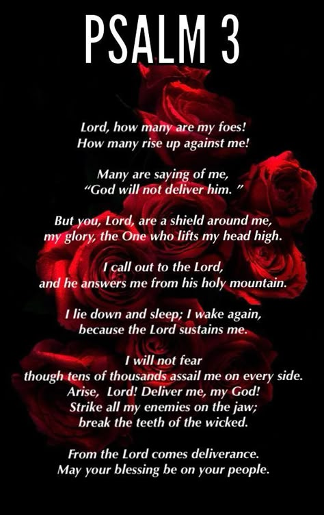 Psalm 3, Bible Psalms, Prayer Bible, Spiritual Warfare Prayers, Everyday Prayers, Spiritual Prayers, Miracle Prayer, Good Prayers, Bible Motivation