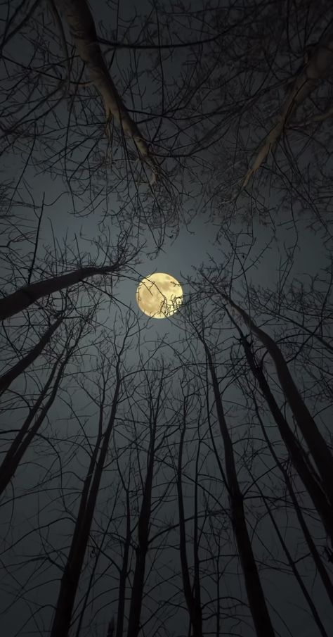 Moon Light Photography, Light And Shadow Photography, Night Landscape Photography, Night Sky Photography, Iphone Wallpaper Sky, Perfect Selfie, Dark Nature Aesthetic, Night Scenery, Night Landscape