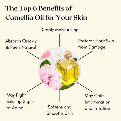 Rich in vitamins A, B, C, D and E, camellia seed oil is excellent for moisturizing skin, helping to smooth the texture of your skin and calm inflammation. That's why we include this botanical oil in our Age-Defying Dream Cream and Pur-Radiance Face Cleanser. Dream Cream, Camellia Oil, Botanical Oils, Flaky Skin, Skin Aging, Beauty And Skincare, Age Defying, Face Cleanser, Anti Aging Skin Care