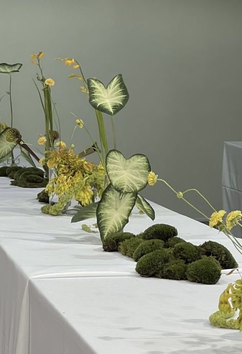 Ikebana Installation, Less Is More Wedding, Moss Installation, Ikebana Wedding, Moss Centerpiece, Planting Hacks, Moss Centerpieces, Plant Centerpieces, Plants Interior