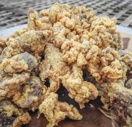 Deep-Fried Snapping Turtle | Realtree Camo Turtle Meat Recipe, Turtle Recipes, Gator Recipe, Frog Legs Recipe, Hunting Recipes, Turtle Recipe, Wild Recipes, Homestead Cooking, Butcher's Cut