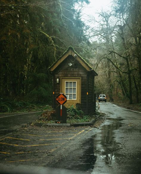 Pacific Northwest Town, Pnw Gothic, Contemplative Art, Pacific Northwest Aesthetic, Rain Aesthetics, Autumn Town, Pnw Fall, Pnw Aesthetic, Pnw Travel