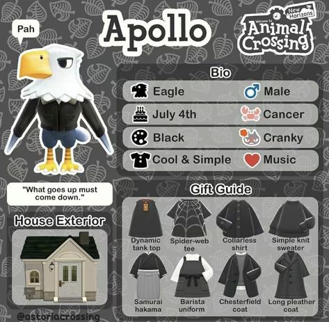 Apollo Acnh, Acnh Notebook, Apollo Animal Crossing, Character Bio, Animal Crossing Fan Art, Animal Crossing Memes, Animal Crossing Guide, Animal Crossing Wild World, Pin Search