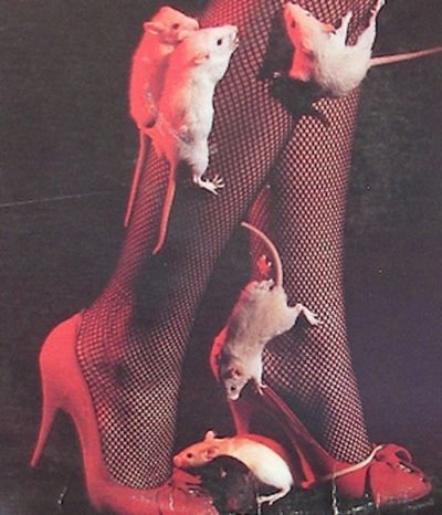 Rat Queen Rat Aesthetics, Rat Photoshoot, Rat Girl Aesthetic, Rat Aesthetic, Rat Fashion, Rats Dressed Up, Rats Aesthetic Dark, Rockabilly Aesthetic, Rat Girl