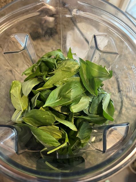 Freezing Basil in Olive Oil Freezing Basil In Olive Oil, Basil In Olive Oil, Basil Olive Oil, Break Off, Basil Leaves, I Pick, Shake It Off, Fresh Basil, Other Recipes