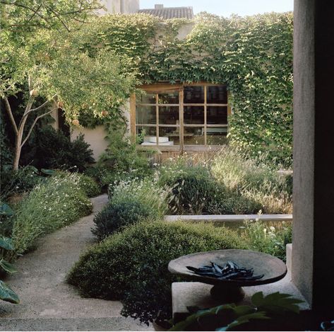 European Courtyard, Garden Ideas For Small Spaces, Luciano Giubbilei, Courtyard Garden Design, Small Courtyard Gardens, London Garden, Front Landscaping, Ideas For Small Spaces, Side Garden