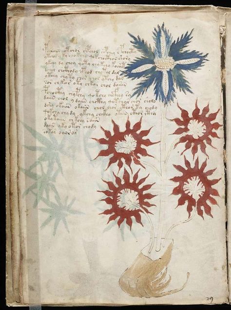 Unsolved Mysteries That Are Keeping Us Up At Night Codex Seraphinianus, Murakami Haruki, Voynich Manuscript, Medieval Manuscript, Old Book, Illuminated Manuscript, Old Books, 15th Century, Rare Books