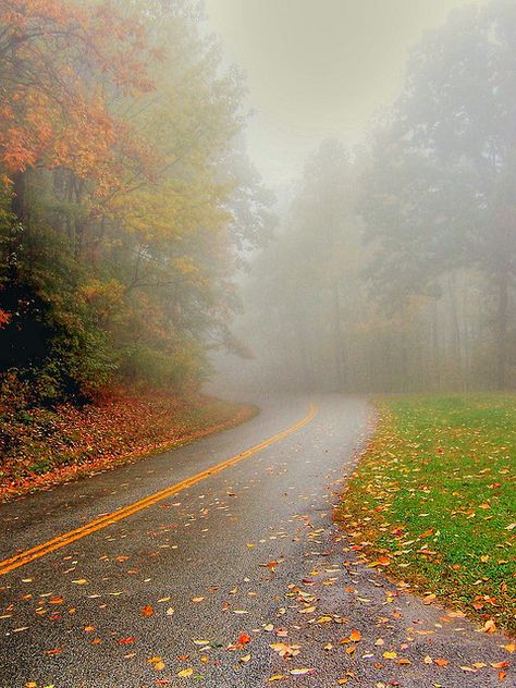 misty mountains....autumn colours....bliss Appalachian Gothic, Peaceful Pictures, Fog Photography, October Country, Misty Mountains, Foggy Morning, Autumn Colours, Blue Ridge Parkway, Late Afternoon