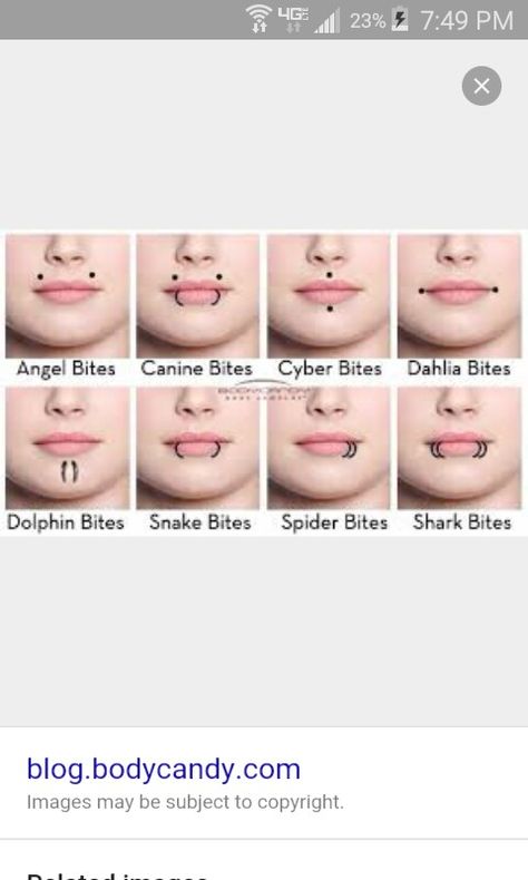 Types of lip piercings Lip Piercing Types, Piercings For Oval Face, Piercings Reference, Types Of Face Piercings, Types Of Facial Piercings, Piercing Apprenticeship, Facial Piercings Aesthetic, Double Lip Piercing, Lip Piercings Aesthetic