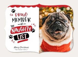 Dog Christmas Cards | Pet Holiday Cards | Simply to Impress Photography Release Form, Pet Holiday Cards, Pet Christmas Cards, Personalized Holiday Cards, Dog Christmas Card, Photo Christmas Cards, Pet Christmas, Art Greeting Cards, Photo Christmas