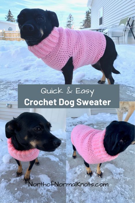 Cat Sweater - Amazon.com, your favorite online retailer. Visit to get everything you need today. Easy Crochet Dog Sweater, Easy Crochet Dog, Crochet Dog Sweater Free Pattern, Knitted Dog Sweater Pattern, Large Dog Sweaters, Crochet Dog Clothes, Dog Coat Pattern, Dog Sweater Crochet Pattern, Dog Sweater Pattern