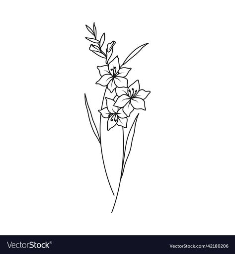 Agust Birth Flower Tattoo, August Tattoo Flower, Tattoo Of Gladiolus, Gladiolus Tattoo Minimalist, Gladiolus Drawing Simple, August Flower Gladiolus, August Gladiolus, Gladiolus Flower Line Drawing, Dainty Gladiolus Tattoo