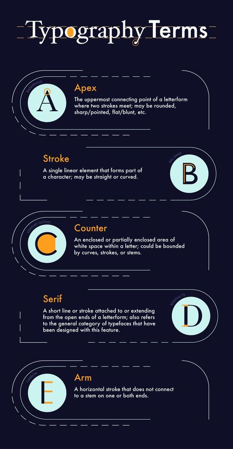 Infographic presenting five important typographical terms. Typography Infographic, Typography Terms, Gill Sans, Graphic Design Tips, Infographic Design, Typography, Design