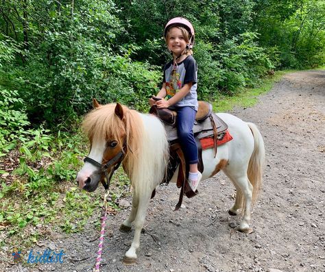 Horseback Riding Classes and Trail Rides for Kids in Chicagoland Riding School Ideas, Riding Lesson Ideas, Kids Riding Horses, Kids Horse Riding, Horseback Riding Lessons, Riding School, Horse Camp, Pony Rides, Riding Lessons