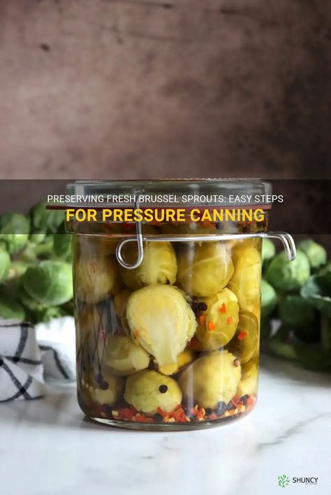 How To Can Brussel Sprouts, Brussel Sprout Preserving, Brussel Sprout Canning Recipes, Canned Brussel Sprouts, Freezing Brussel Sprouts How To, Canning Brussel Sprouts, How Do You Freeze Fresh Brussel Sprouts, Preserve Brussel Sprouts, Pickled Brussels Sprouts Recipe