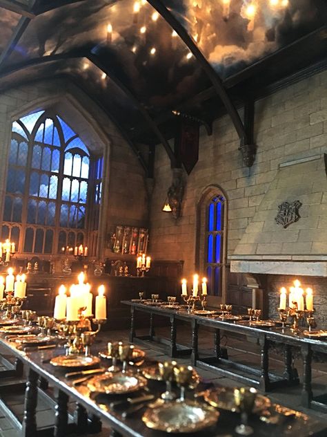 Dark Arts Classroom, Harry Potter Interior, Astoria Greengrass, Hery Potter, Disney Themed Rooms, Hogwarts Great Hall, Gryffindor Common Room, Office Dark, Harry Potter Dolls