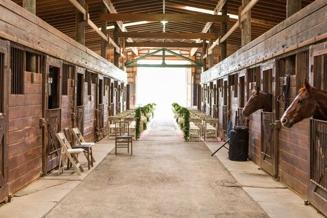 Stable Weddings, Horse Farm Wedding, Horse Wedding Ideas, Kentucky Horse Farms, Horse Stables Design, Stables Wedding, Horse Farm Ideas, Elegant Horse, Horse Barn Designs