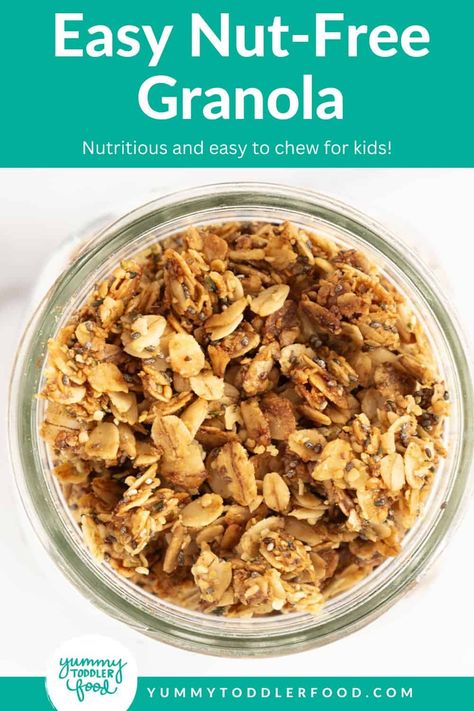 Nut-Free Granola Granola Nut Free, Nut Free Granola, Breakfast Calories, Toddler Friendly Meals, How To Make Granola, Easy Granola Recipe, Baking Healthy, Easy Homemade Granola, Easy Granola