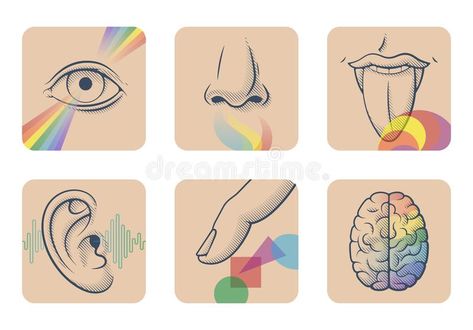 Set of five human senses: sight, smell, taste, hearing and touch. Six anatomical images: nose, tongue, eye, ear, finger and brain royalty free illustration Human Senses, Brain Vector, Creative Writing Exercises, Word Games For Kids, Sense Of Sight, Brain Art, Creativity Exercises, 5 Senses, Writing Exercises