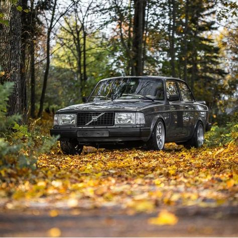 🍁🍂🍁 Your daily Swede Feed 🇸🇪 👤: @sparconevalainen 📸: @nikowillman #volvo #volvo240 #volvo242 #volvo242gt #madebysweden #MadeInSweden #volvoofsweden #volvoofinstagram #boosted #boostedbrick #prancingmooseftw #volvostance #SwedishBoostMafia Old Volvo, Volvo Xc, Volkswagen Vans, Volvo 740, Volvo Car, Volvo 850, Volvo 240, Car Things, Car Artwork