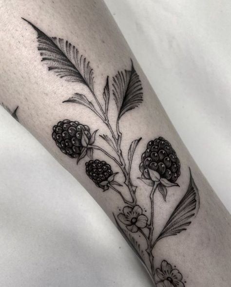 Dark Botanical Tattoo, Raspberry Vine Tattoo, Blackberry Bush Tattoo, Mulberry Tattoo, Berry Tattoos, Botany Tattoo, Berries Tattoo, Berry Tattoo, Raspberry Tattoo