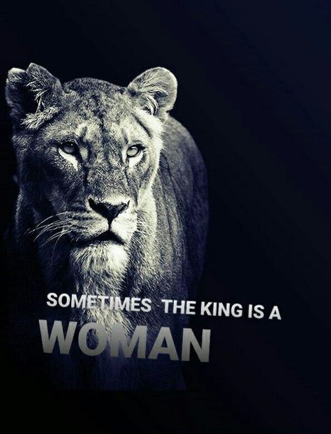 Leo Women, A Lion, The King, Shout Out, Lion, Queen, Black And White, Quotes, White