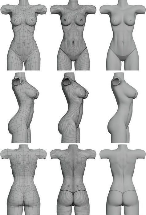 Human Model, 3d Anatomy, Female Anatomy Reference, 3d Karakter, First Human, Anatomy Models, Female Torso, Anatomy Sketches, Anatomy For Artists