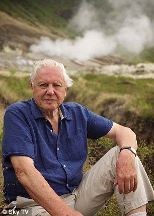 My hero: Sir David Attenborough Elizabeth Berkley, Richard Attenborough, David Attenborough, Idris Elba, Charles Darwin, Interesting People, Beautiful Mind, David Beckham, Beautiful Person