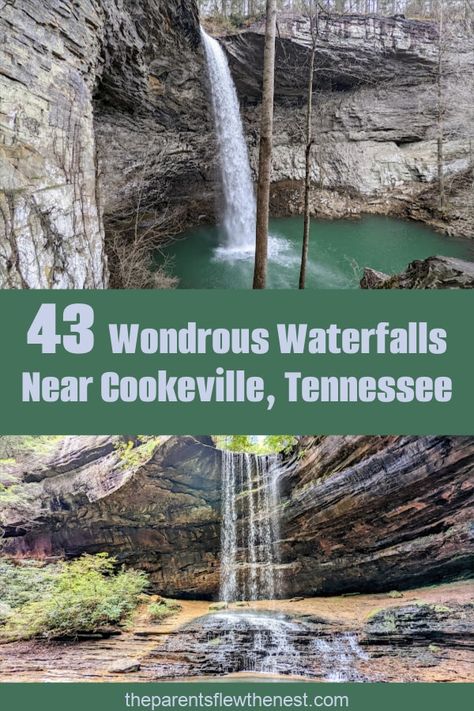 Discover some of the most beautiful and awe-inspiring waterfalls near Cookeville, Tennessee. From towering cascades to hidden gems, this guide has it all for nature lovers and adventure seekers. West Virginia Waterfall Trail, Fall Creek Falls Tennessee, Spring Hill Tennessee, Burgess Falls State Park, Cookeville Tn, Rock Island State Park, Tennessee Waterfalls, Cookeville Tennessee, Tennessee Road Trip