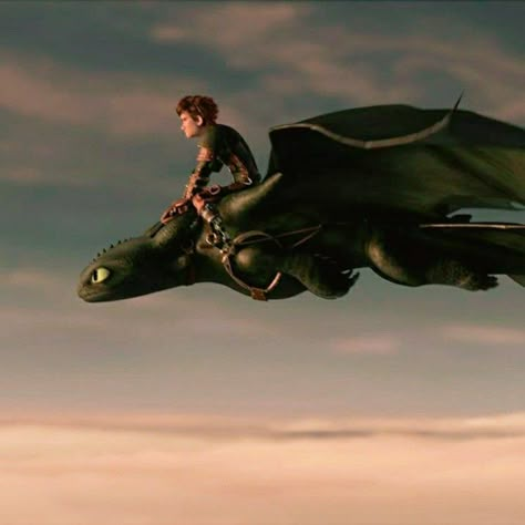 Toothless Widget, Httyd Widget, Httyd Flying, Hiccup And Toothless Flying, Httyd Shifting, Httyd Aesthetic, Toothless And Stitch, Dragons Riders Of Berk, Hiccup Haddock