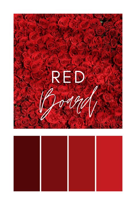 A dense arrangement of vibrant red roses, emphasizing the intensity and romance of the red color palette. Red Color Palette Wedding, Maroon Red Color, Red Color Palette, Color Generator, Red Colour Palette, School Makeup, Palette Color, Soft Rose, Color Harmony