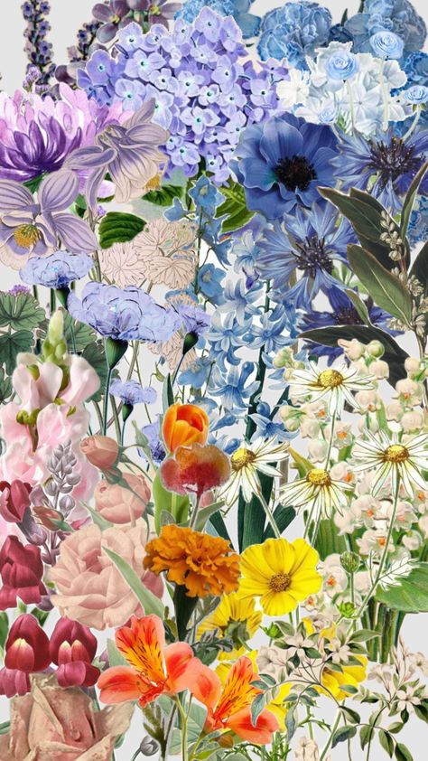 #colorful #flowers Collage Art Flowers, Flora Sketch, Flowers Moodboard, Daisy Picture, Sustained Investigation, Collage Flowers, Flowers Collage, Moodboard Design, Colorful Collage