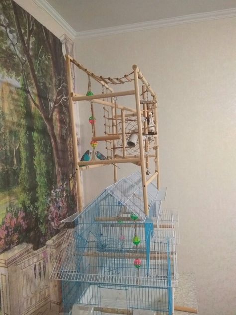 Diy parakeet playground Bird Playground Diy, Parakeet Playground Diy, Diy Budgie Playground, Cockatiel Playground Diy, Diy Parakeet Toys, Parakeet Playground, Budgie Playground, Pet Budgie, Bird Playground