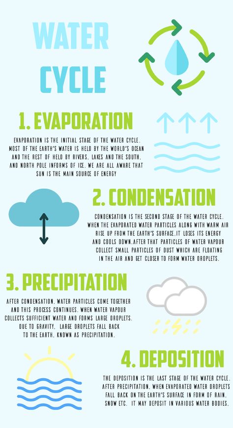 Water Cycle Notes, The Water Cycle For Kids, Water Cycle Project Poster, Water Cycle Process, Evaporation And Condensation, Water Cycle Poster, Water Cycle Project, Water Cycle Diagram, Water Facts