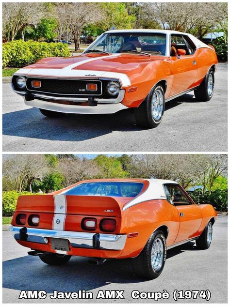 1974 Amc Javelin, Pantera Car, Amc Cars, Buick Gs, Amc Javelin, American Motors Corporation, Chrysler Cars, Vintage Muscle Cars, American Classic Cars