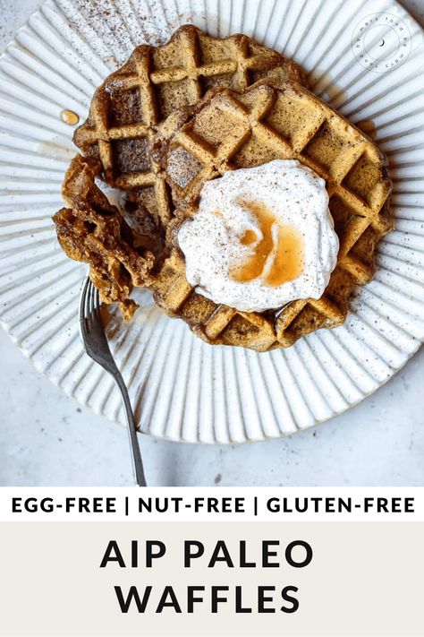 AIP Breakfast Waffle Recipe (Eggless, Vegan, Paleo) Waffle Brunch, Breakfast Waffle Recipes, Paleo Brunch, Paleo Waffles, Aip Breakfast, Autoimmune Paleo Recipes, Vegan Waffles, Aip Desserts, Gluten Free Waffles