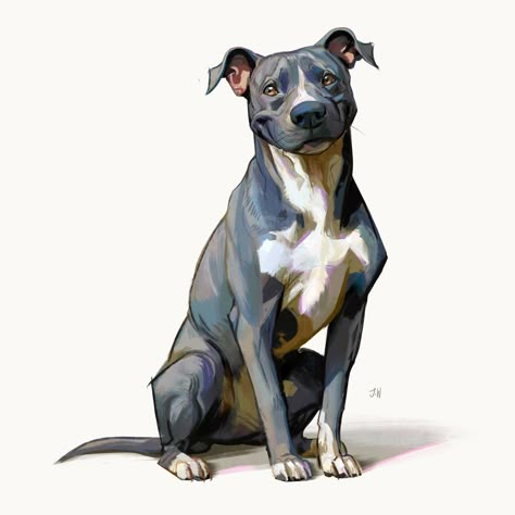 Cartoon Poses, Canine Anatomy, Dog Doodles, Pitbull Drawing, Dog Portraits Illustration, Color Art Lessons, Dog Design Art, Pet Portraiture, Pitbull Art