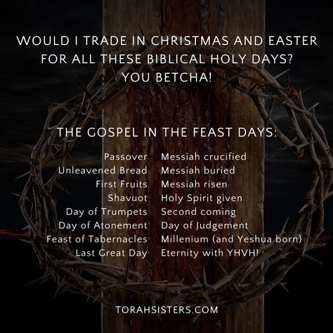 Keeping Torah Memes - Torah Sisters Biblical Feasts And Festivals, Biblical Holidays 2024, Biblical Holidays, Biblical Christmas, Biblical Feasts, Jewish Feasts, Pagan Traditions, Feasts Of The Lord, Messianic Judaism