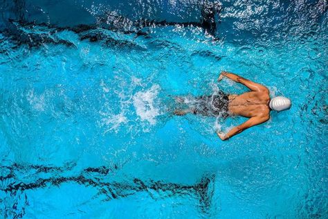 swimming workout pexels Height Exercise, Increase Height Exercise, Swimming Benefits, Sports Academy, Pentathlon, Simple Exercise, Pool Maintenance, Swimming Workout, Online Education