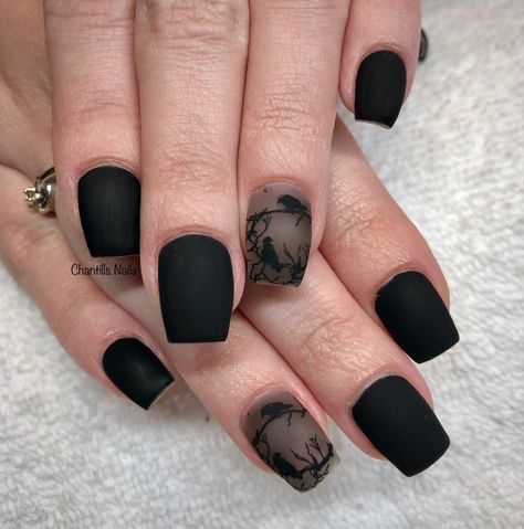 Love me some Matte in the morning. #matte #mattenails #crows #blackmattenails #blacknails #cloudynails #darknails #simpleblacknails #blacknailart #utahnailcommunity #shortblacknails #simple #blacknails💅 #blacknails🖤 #mattenailspolish #easymattenails #utahnailtech #chantillsnails #funblacknails #crownails #birdnails #easynails #quicknailart #nails #nailart #nails💅 #nailtech #nailsnailsnails💅 #nails2inspire #nailsart Gothic Short Nail Designs, Edgar Allen Poe Nails, Crow Nail Art, Six Of Crows Nails, Raven Nails Designs, Black Matte Nail Designs, Crow Nails, Raven Nails, Black Matte Nails