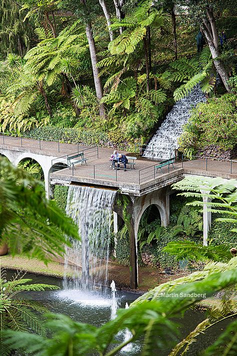 Monte Palace Gardens, Funchal, Madeira island, Portugal ✯ ωнιмѕу ѕαη∂у Portugal Garden Design, Palace With Garden, Rivendell Garden Backyards, Botanical Garden Architecture, Water Garden Architecture, Madeira Botanical Garden, Water Architecture, Palace Garden, Fountain Design