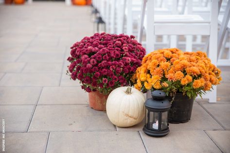 Fall Wedding Mums, Outdoor Ceremony Decor, Fall Wedding Ceremony Decorations, Mums In Pumpkins, Fall Ceremony, Mums Wedding, Fall Wedding Ceremony, Fall Wedding Color Palette, Fall Mums