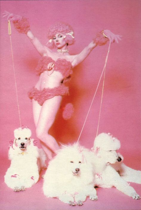 Poodle girl Louis Jover, Tableaux Vivants, Piskel Art, Tout Rose, My Funny Valentine, Poodle Puppy, Arte Inspo, Foto Art, 영감을 주는 캐릭터