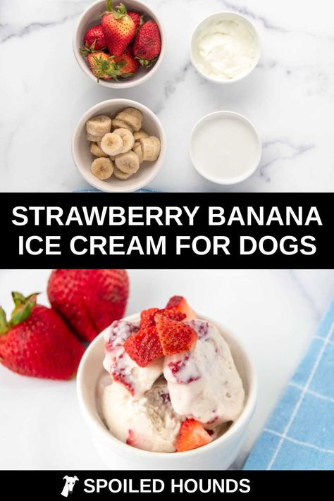 Doggie Ice Cream, Ice Cream For Dogs, Dog Ice Cream Recipe, Frosty Paws, Pet Treats Recipes, Gelato Recipe, Diy Dog Food, Dog Ice Cream, Healthy Dog Treats Homemade