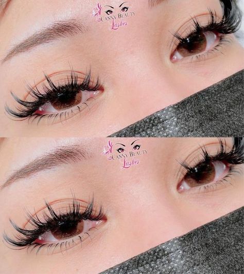 Eyelash Extensions Butterfly, Sunflower Eyelash Extensions, Anime Set Lashes, Manhwa Eyelashes, Wispy Anime Lash Extensions, Sunflower Lashes, Anime Lashes Extensions, Manhwa Lashes, Anime Eyelash Extensions