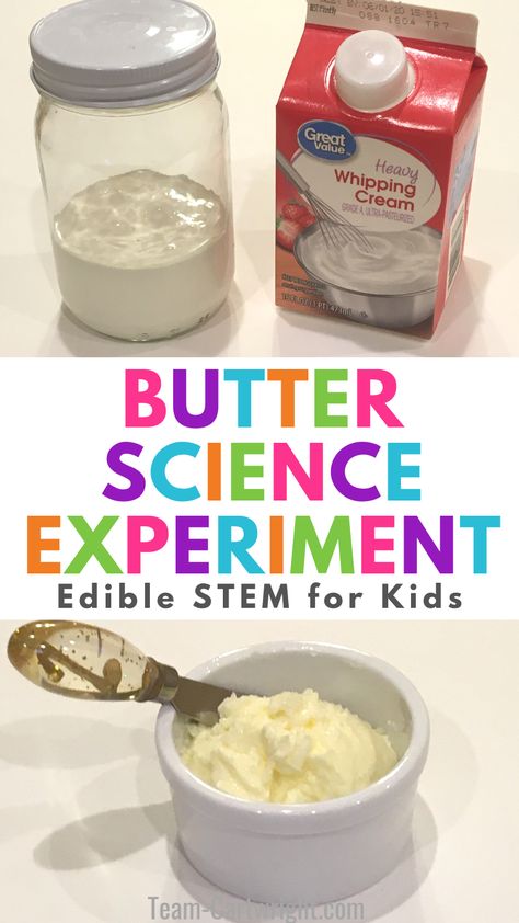 Text: Butter Science Experiment Edible STEM for Kids. Top picture: cream for experiment and jar for experiment. Bottom picture: ramekin of homemade butter from science experiment. Science In The Kitchen, Fun Science Experiments For Kindergarten, Easy Homeschool Science Experiments, Homeschool Preschool Activities Science Experiments, Making Butter With Preschoolers, Making Butter Preschool, Fun Preschool Science Experiments, Science At Home, Making Butter In The Classroom