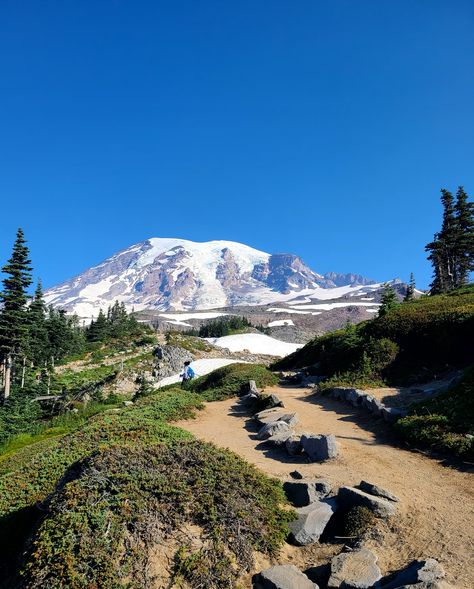 Mt. Rainer Mt Rainer, Mount Rainier National Park, Rainier National Park, Nature Landscape, Mount Rainier, Landscape Photography, National Parks, Photography, Nature