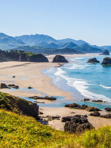 7 Great Pacific Northwest Road Trip Ideas Story - y Travel Blog Pnw Coast, Pacific Northwest Road Trip, Northwest Road Trip, Pacific Coast Road Trip, Travel Road Trip, Oregon Landscape, Oregon Beach, Rv Trips, Mama Earth